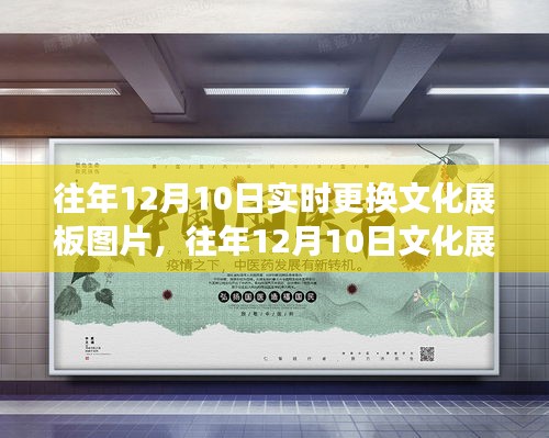 往年12月10日文化展板图片实时更换系统评测与介绍，全面更新与展示体验