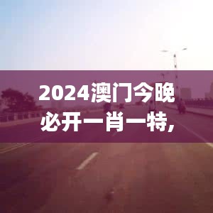 2024澳门今晚必开一肖一特,经济性方案解析_Ultra7.788