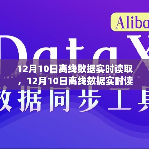 12月10日离线数据实时读取步骤详解，初学者与进阶用户指南