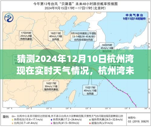 聚焦未来，杭州湾天气预测，揭秘2024年12月10日的天气变化与争议