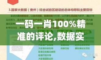 一码一肖100%精准的评论,数据实施导向策略_体验版10.298