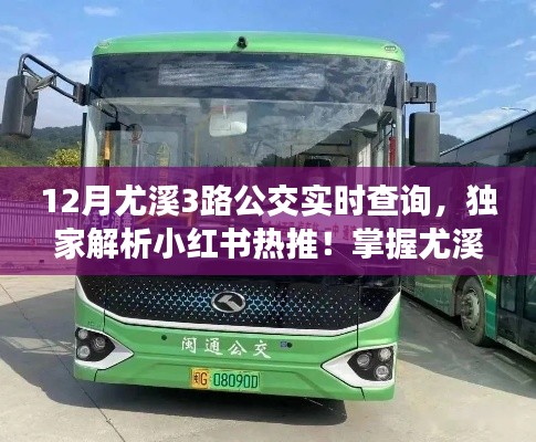 独家解析小红书热推！揭秘尤溪公交实时查询攻略，掌握最新动态