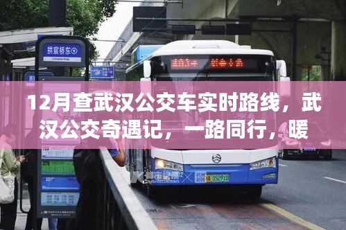 武汉公交暖心相伴，实时路线查询与公交奇遇记