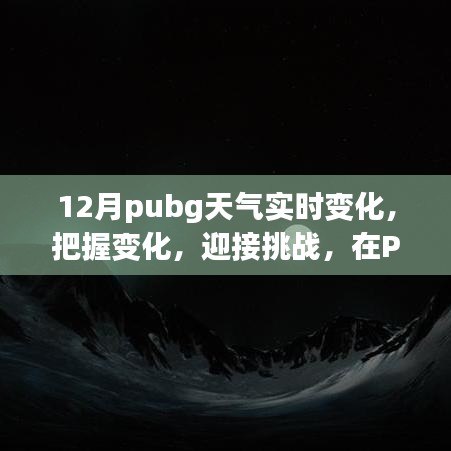 Pubg冬季实时天气变化挑战，把握机遇，展现自信与成就