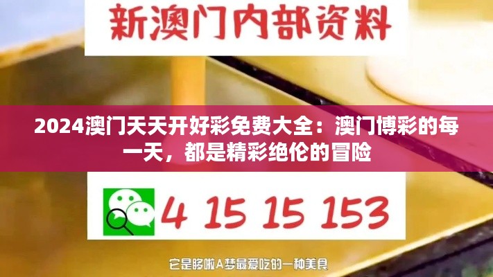 2024澳门天天开好彩免费大全：澳门博彩的每一天，都是精彩绝伦的冒险