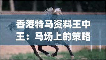 香港特马资料王中王：马场上的策略师