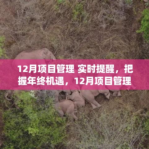 年终机遇，把握12月项目管理的魔力时刻，实时提醒之旅