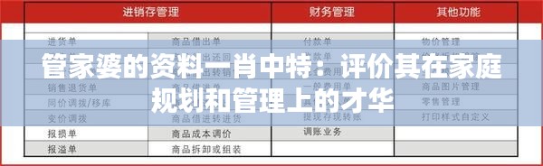管家婆的资料一肖中特：评价其在家庭规划和管理上的才华