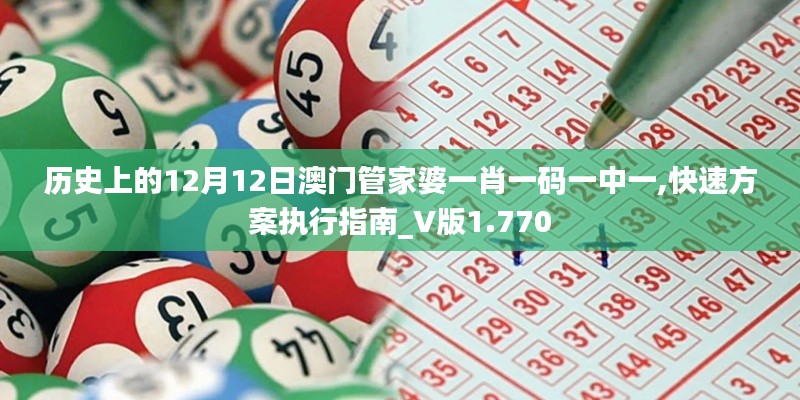 历史上的12月12日澳门管家婆一肖一码一中一,快速方案执行指南_V版1.770
