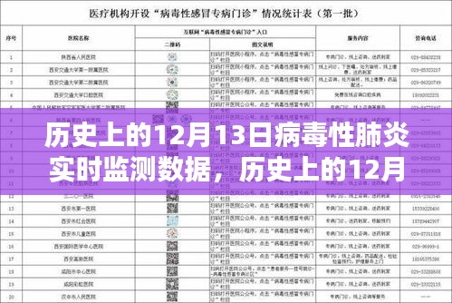历史上的12月13日病毒性肺炎实时监测数据详解与步骤指南