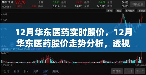 透视华东医药股价走势，价值波动背后的秘密揭示（附最新十二月股价分析）
