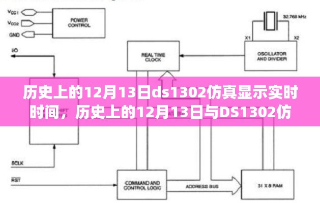 百鸟朝凤 第2页