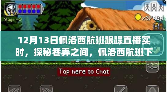 佩洛西航班下的独特小店直播之旅揭秘，实时跟踪与巷弄探秘直播报道