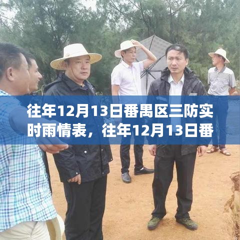 往年12月13日番禺区三防实时雨情表详解及分析解读报告