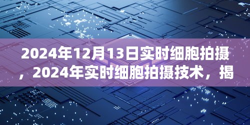揭秘生命微观世界的奇迹,2024年实时细胞拍摄技术独家报道