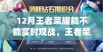 王者荣耀观战新篇章，探寻内心的宁静之地，12月实时观战开启