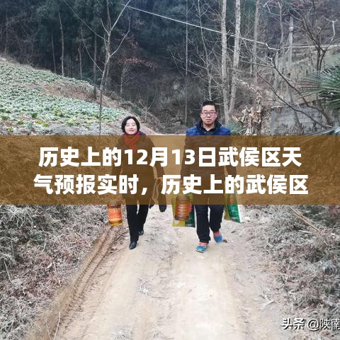 十二月十三日武侯区天气预报深度解析，历史天气变迁与实时天气预测