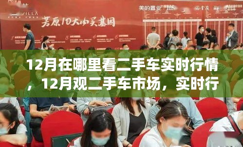展翅欲飞 第2页
