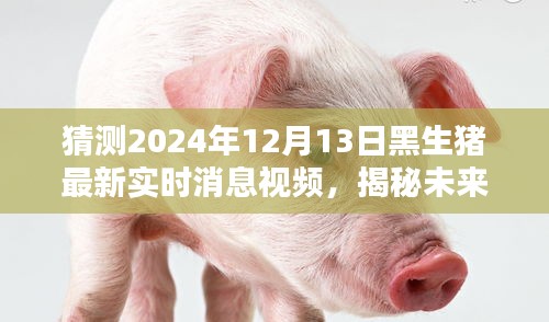 揭秘预测，2024年黑生猪行业最新动态与未来趋势视频报道。