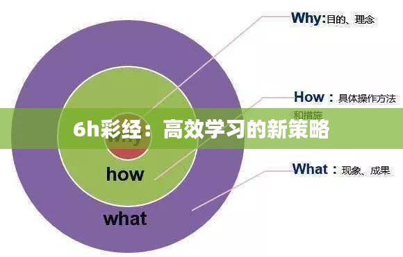 6h彩经：高效学习的新策略