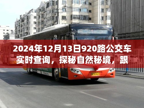 咫尺天涯 第2页
