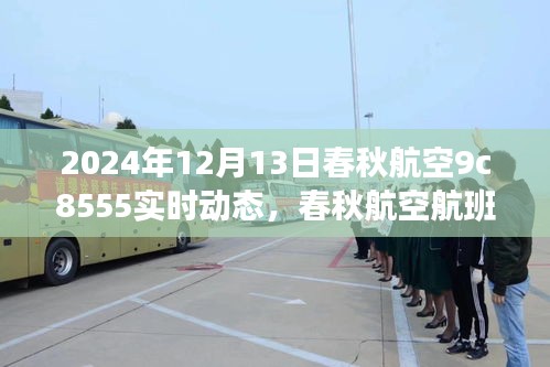 春秋航空航班9C8555，全方位指南及实时动态查询（订票至出行）