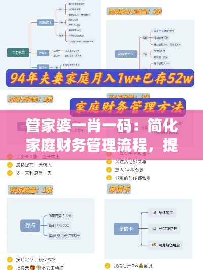 管家婆一肖一码：简化家庭财务管理流程，提高生活质量