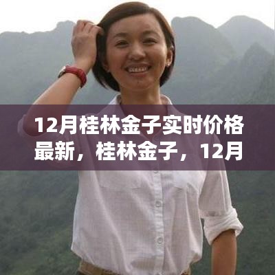 桂林金子最新实时价格深度解析，探寻桂林金子市场趋势与动态