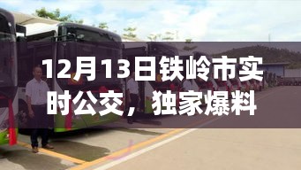 独家爆料，铁岭市实时公交动态，高效出行新篇章开启！