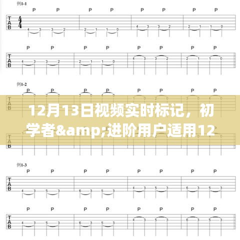 初学者与进阶用户适用的视频实时标记全攻略，12月13日实时标记指南