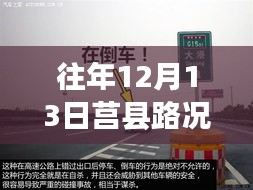 乌鸟私情 第2页