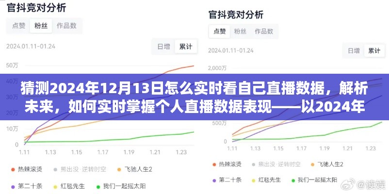 如何实时掌握个人直播数据表现，预测与解析未来直播数据趋势（以2024年12月13日为例）
