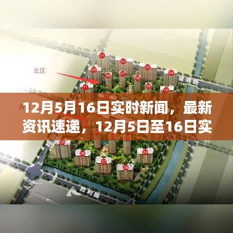 12月5日至16日新闻速递，最新资讯回顾与解读
