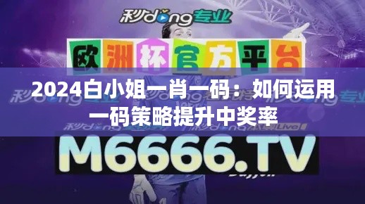 2024白小姐一肖一码：如何运用一码策略提升中奖率