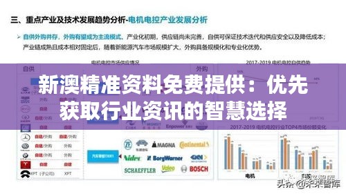新澳精准资料免费提供：优先获取行业资讯的智慧选择