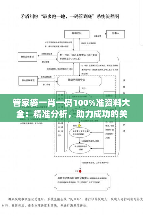 管家婆一肖一码100%准资料大全：精准分析，助力成功的关键
