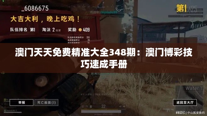 澳门天天免费精准大全348期：澳门博彩技巧速成手册