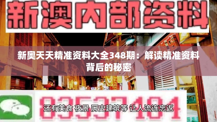 新奥天天精准资料大全348期：解读精准资料背后的秘密