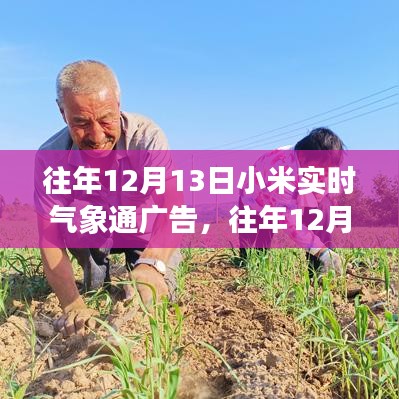 小米实时气象通广告回顾与解析，价值透视与争议评析