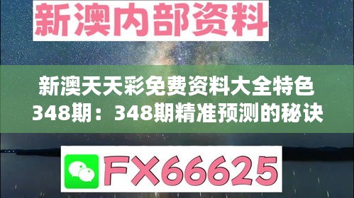 新澳天天彩免费资料大全特色348期：348期精准预测的秘诀