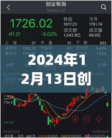 深度解析，创投黑马实时股价动态跟踪——2024年12月13日
