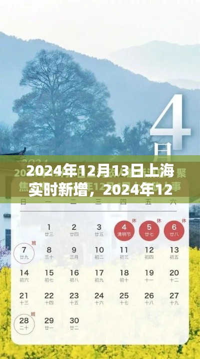2024年12月13日上海实时新增信息获取全攻略，操作指南与步骤
