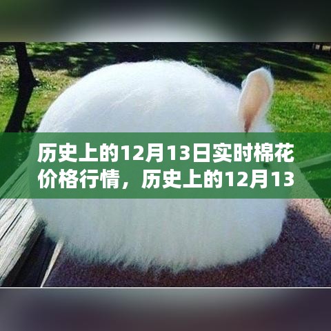 揭秘历史12月13日棉花价格行情，入门指南与实时操作技巧详解