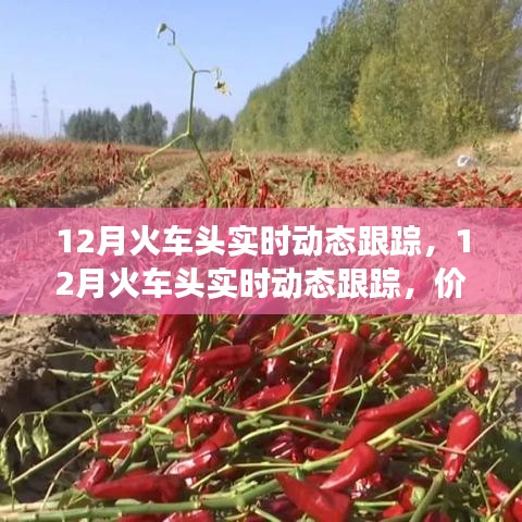 12月火车头实时动态跟踪，价值与争议的焦点