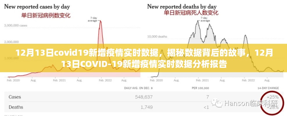 揭秘数据背后的故事，12月13日COVID-19新增疫情实时数据分析报告