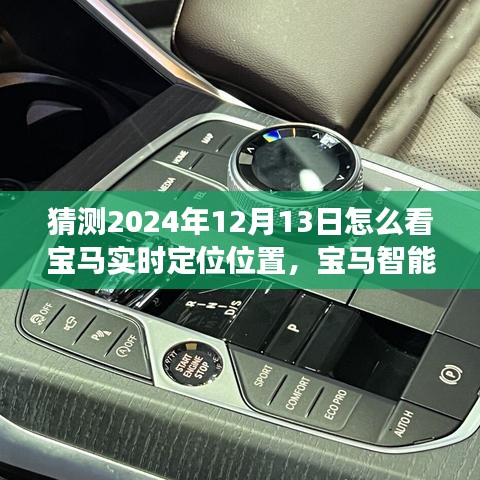 宝马前瞻智能追踪系统，实时定位重塑驾驶体验，展望未来的宝马定位追踪技术（2024年视角）