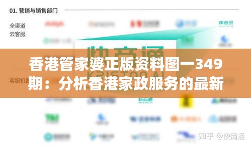 香港管家婆正版资料图一349期：分析香港家政服务的最新变化