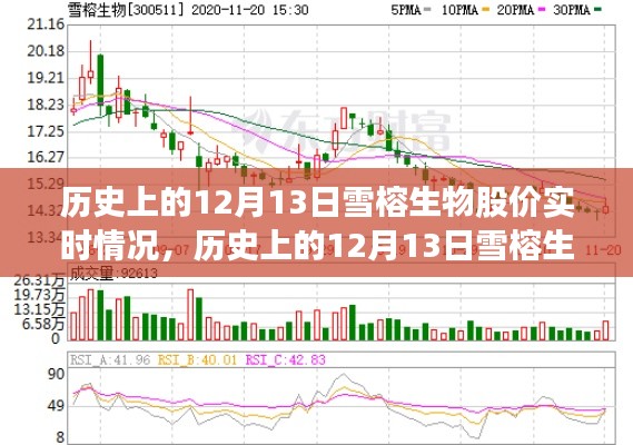 雪榕生物股价历史走势，探寻十二月十三日的实时动态与探析