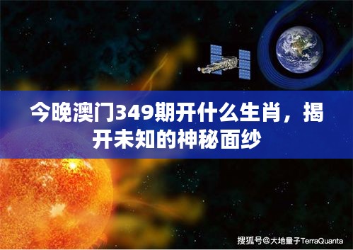 今晚澳门349期开什么生肖，揭开未知的神秘面纱