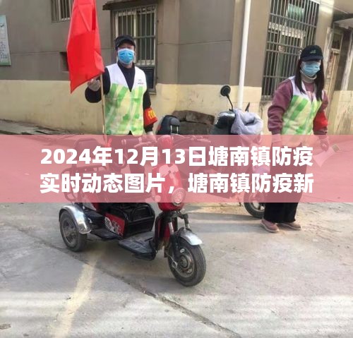 塘南镇防疫新篇章，小巷风情与实时动态图片报告